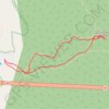 The Tsitsikamma Big Tree GPS track, route, trail