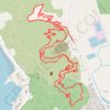 Coromandel Mountain Biking GPS track, route, trail